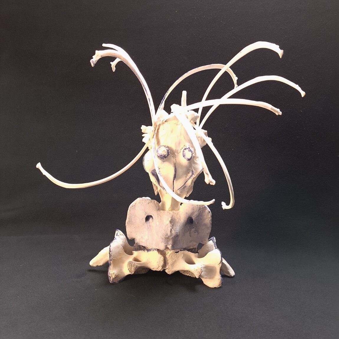 Medusa – Bild 2