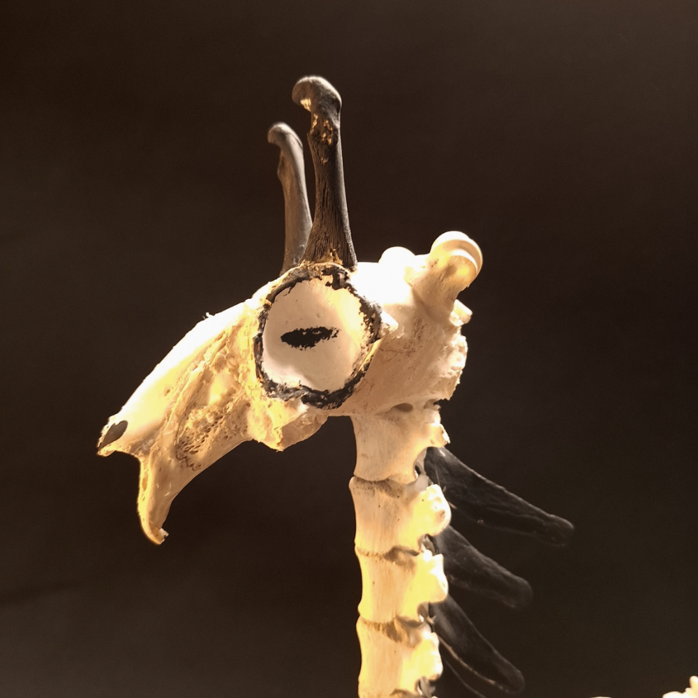 Fabelwesen Giraffe Knochenskulptur – Bild 3